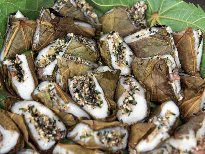 L'Art culinaire de Tuyen Quang: un festin entre ciel et terre